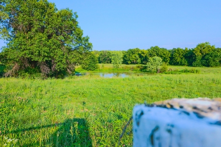 Home on Acreage For Sale Warrensburg, MO - image 45