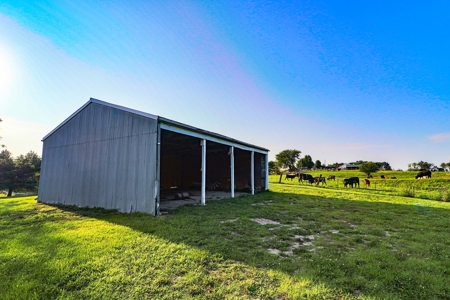 Home on Acreage For Sale Warrensburg, MO - image 44