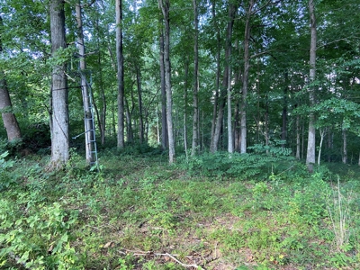 Secluded 3 Bed 2 Bath Home On 56 Acres - Casey County, Ky - image 46