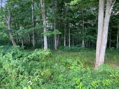 Secluded 3 Bed 2 Bath Home On 56 Acres - Casey County, Ky - image 45