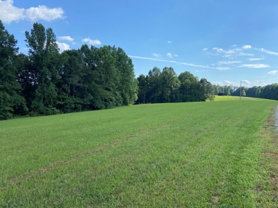 Secluded 3 Bed 2 Bath Home On 56 Acres - Casey County, Ky - image 5