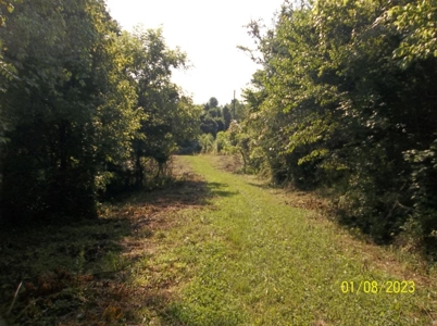66 Unrestricted Acres For Sale in Hawkins County, Tennessee - image 10