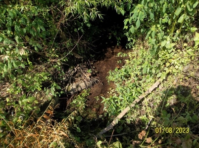 66 Unrestricted Acres For Sale in Hawkins County, Tennessee - image 9