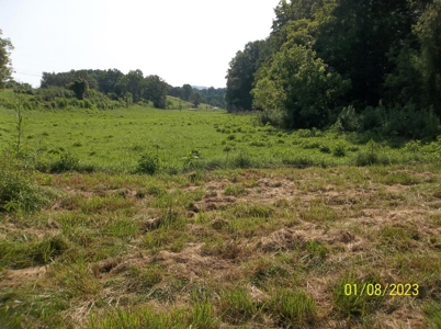 66 Unrestricted Acres For Sale in Hawkins County, Tennessee - image 8