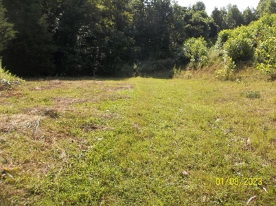 66 Unrestricted Acres For Sale in Hawkins County, Tennessee - image 13