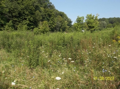 66 Unrestricted Acres For Sale in Hawkins County, Tennessee - image 7