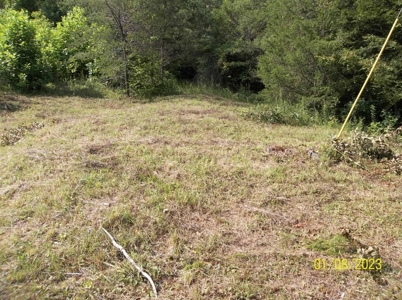 66 Unrestricted Acres For Sale in Hawkins County, Tennessee - image 14