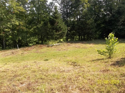 66 Unrestricted Acres For Sale in Hawkins County, Tennessee - image 15