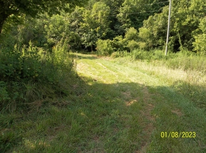 66 Unrestricted Acres For Sale in Hawkins County, Tennessee - image 6