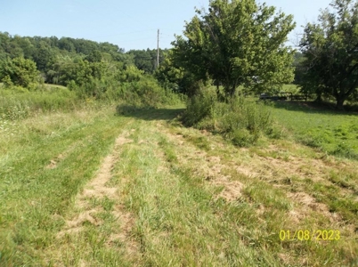 66 Unrestricted Acres For Sale in Hawkins County, Tennessee - image 17