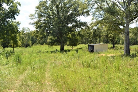 10 Acre Homesite for Sale near Golf Course Southwest MS - image 3