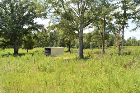10 Acre Homesite for Sale near Golf Course Southwest MS - image 2