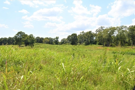 10 Acre Homesite for Sale near Golf Course Southwest MS - image 1