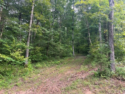 Private  Land For Sale Near Tennessee River,  Fiber Internet - image 11