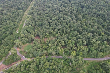 Private  Land For Sale Near Tennessee River,  Fiber Internet - image 3