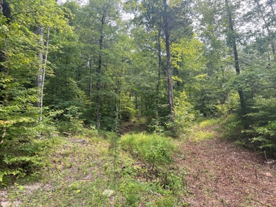 Private  Land For Sale Near Tennessee River,  Fiber Internet - image 14