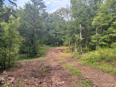 Private  Land For Sale Near Tennessee River,  Fiber Internet - image 13
