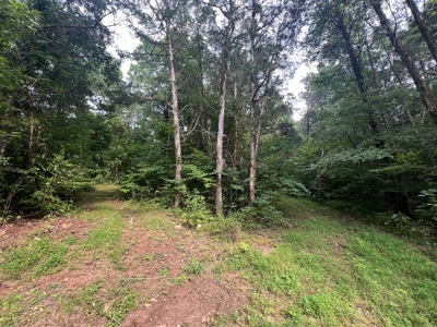 Private  Land For Sale Near Tennessee River,  Fiber Internet - image 10