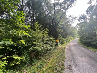 Private  Land For Sale Near Tennessee River,  Fiber Internet - image 16
