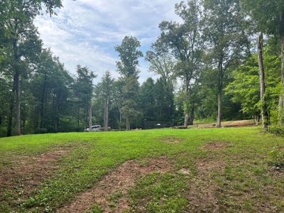 Private  Land For Sale Near Tennessee River,  Fiber Internet - image 15
