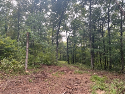 Private  Land For Sale Near Tennessee River,  Fiber Internet - image 12
