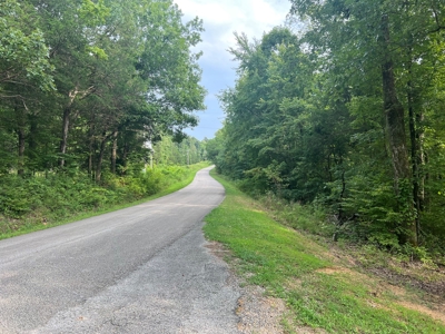 Private  Land For Sale Near Tennessee River,  Fiber Internet - image 17