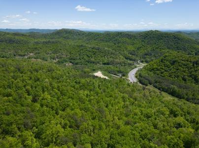 Discover the Hidden Gem of East Tennessee: Unrestricted Wood - image 1