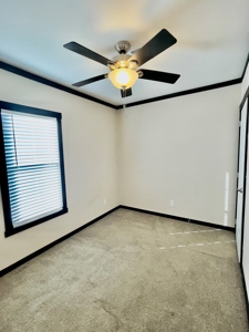 Home For Sale Solar Panels Country Fort Stockton Pecos Co TX - image 7