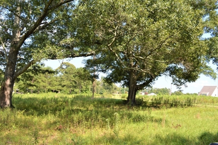 Small Acreage for Sale Near Golf Course Southwest MS - image 2