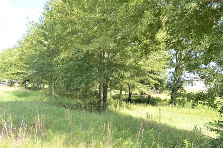Small Acreage for Sale Near Golf Course Southwest MS - image 4