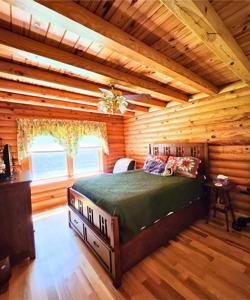 Stunning Log Cabin On Kerr Lake, NC - image 12