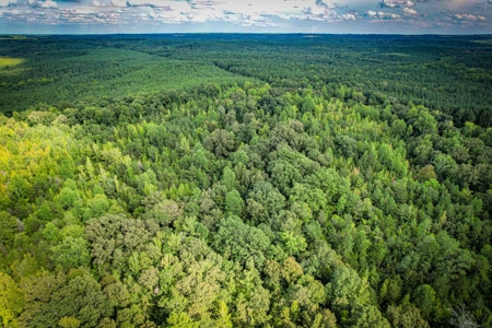 Acreage For Sale in York County SC - image 3