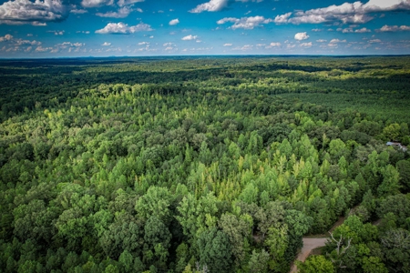 Acreage For Sale in York County SC - image 4