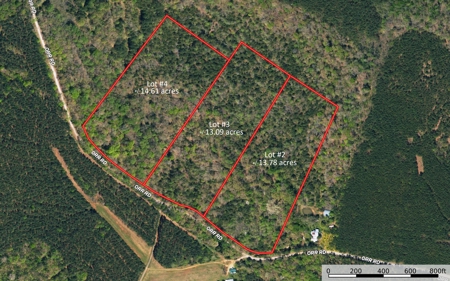 Acreage For Sale in York County SC - image 13