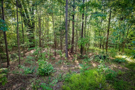 Acreage For Sale in York County SC - image 6