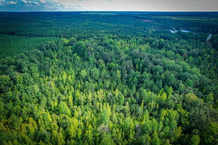 Acreage For Sale in York County SC - image 2