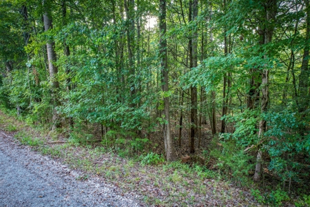 Acreage For Sale in York County SC - image 9