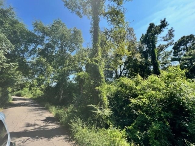 Vineyard Land For Sale in Morris County - image 3