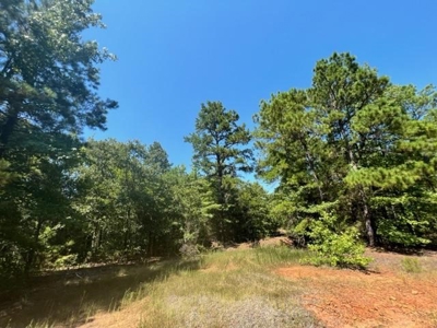 Vineyard Land For Sale in Morris County - image 19