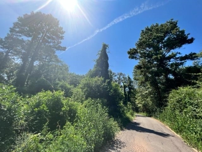 Vineyard Land For Sale in Morris County - image 1