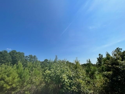 Vineyard Land For Sale in Morris County - image 17
