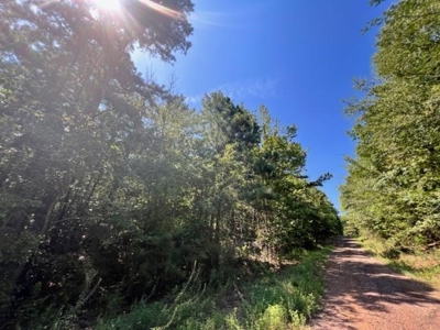 Vineyard Land For Sale in Morris County - image 12