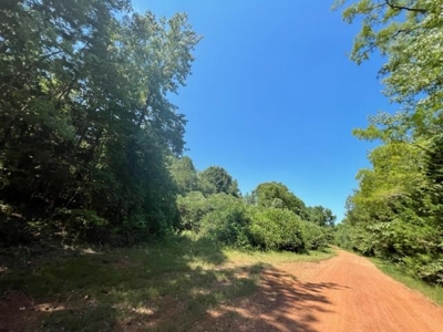 Vineyard Land For Sale in Morris County - image 9