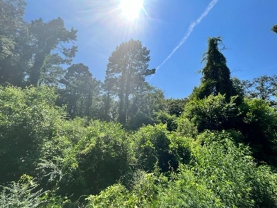 Vineyard Land For Sale in Morris County - image 2