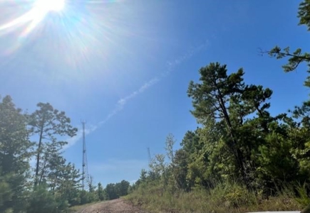 Vineyard Land For Sale in Morris County - image 15