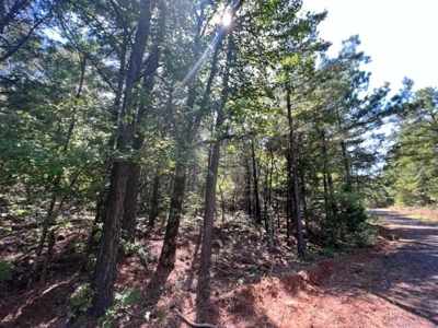 Vineyard Land For Sale in Morris County - image 13