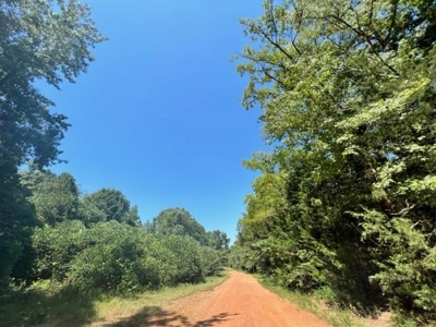 Vineyard Land For Sale in Morris County - image 10