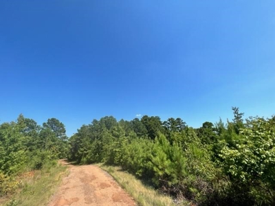 Vineyard Land For Sale in Morris County - image 18