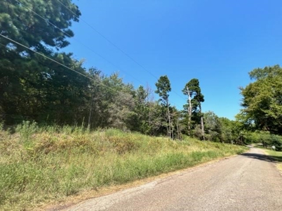 Vineyard Land For Sale in Morris County - image 4