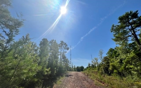 Vineyard Land For Sale in Morris County - image 14